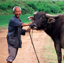 小型飼料顆粒機(jī),農(nóng)民圓夢(mèng)！